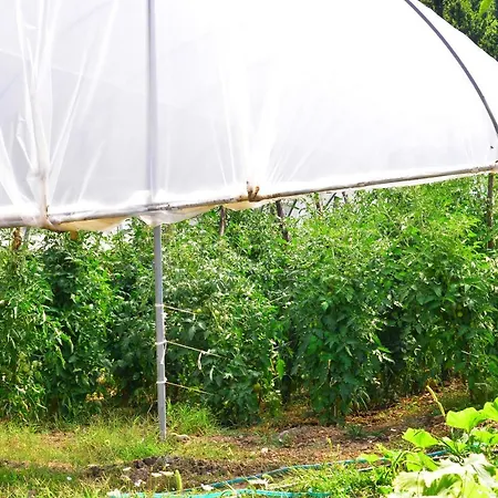 Convivio לינה וארוחת בוקר *