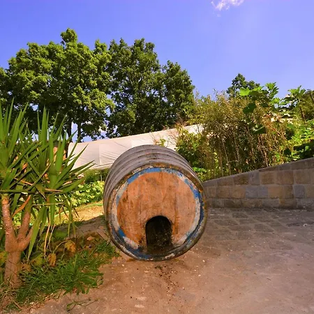 Il Convivio * Rofrano