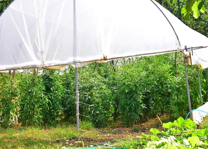 Convivio Bed & Breakfast *